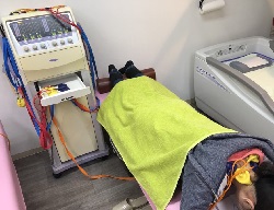 サンプルイメージ